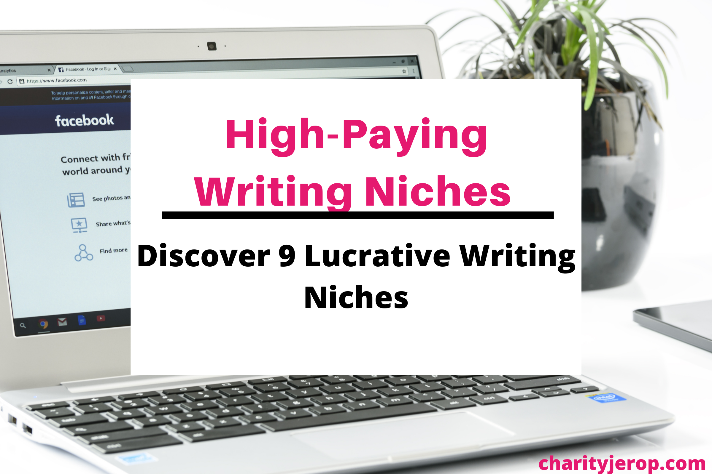 High-paying writing niches